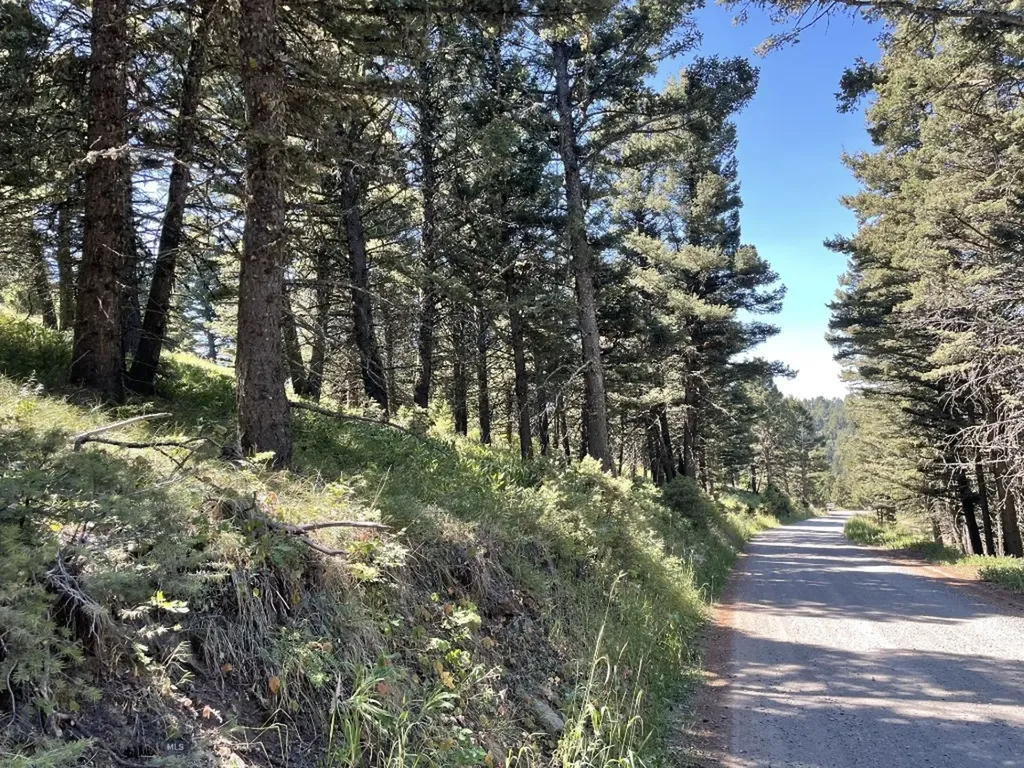 18 Blue Camas Road Bozeman MT 59715