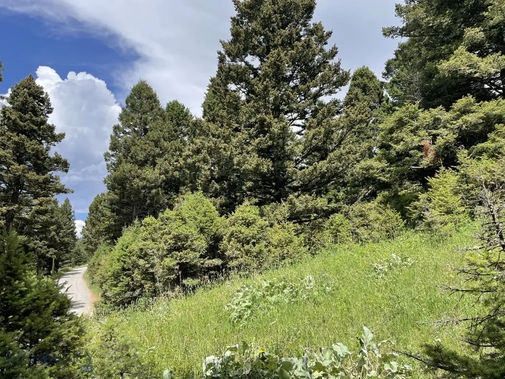 18 Blue Camas Road Bozeman MT 59715