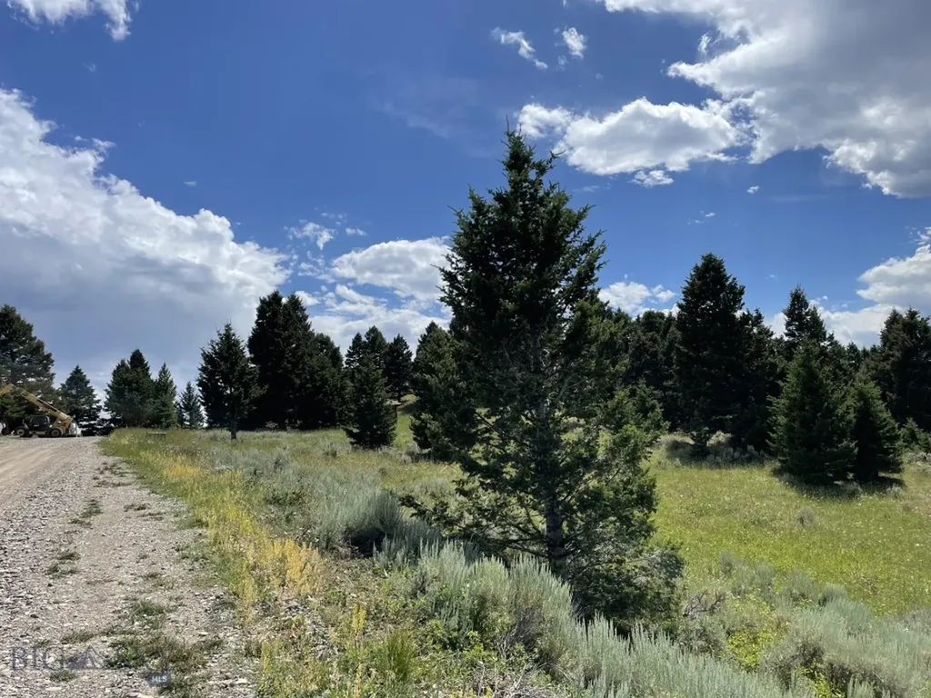 18 Blue Camas Road Bozeman MT 59715
