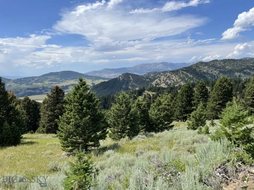18 Blue Camas Road Bozeman MT 59715