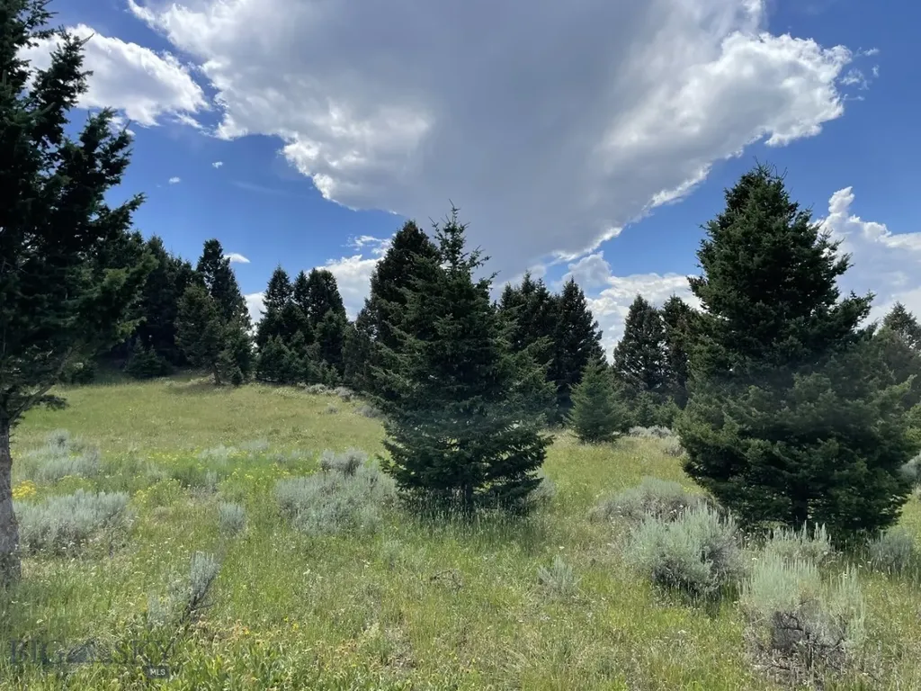 18 Blue Camas Road Bozeman MT 59715