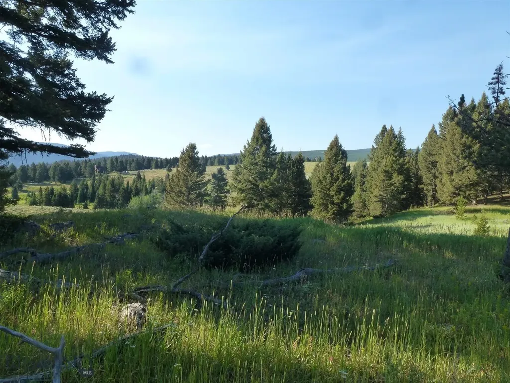 37 Talus Trail Big Sky MT 59730