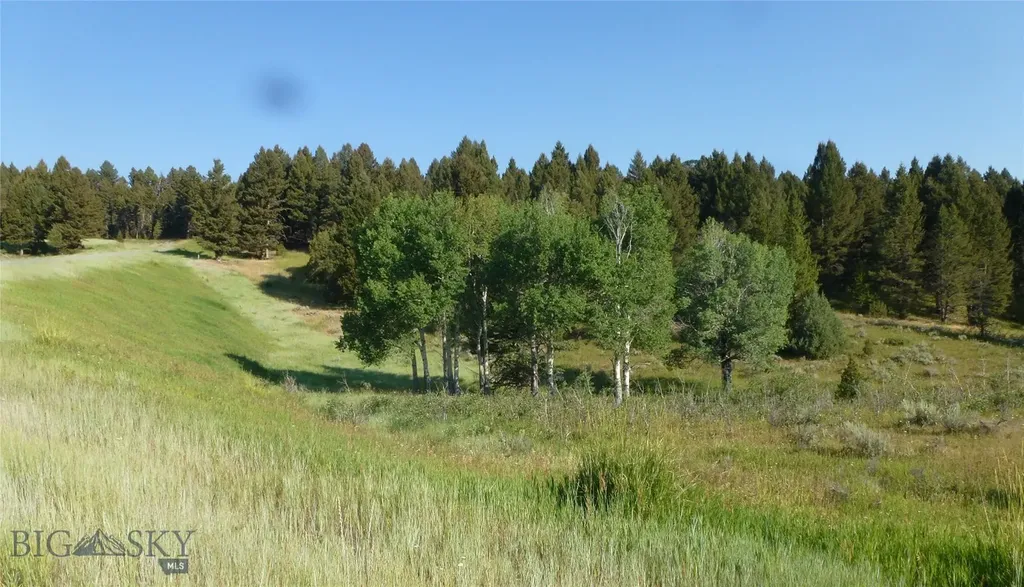 37 Talus Trail Big Sky MT 59730