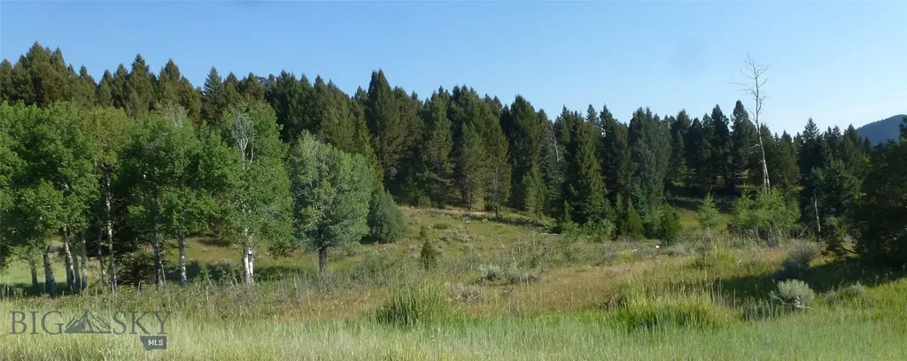 37 Talus Trail Big Sky MT 59730