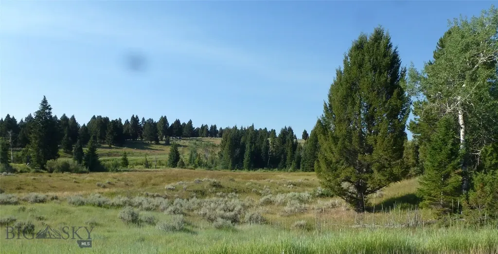 37 Talus Trail Big Sky MT 59730