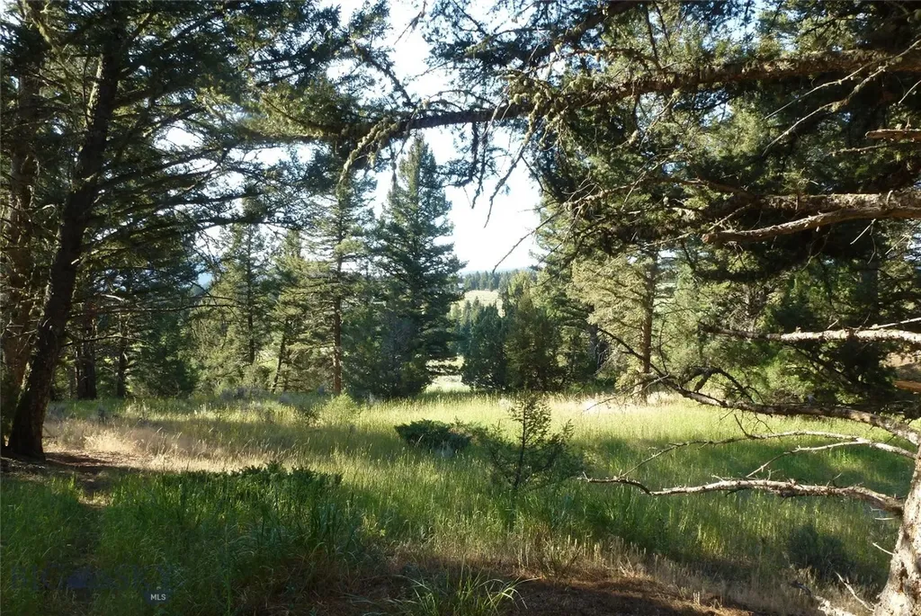 37 Talus Trail Big Sky MT 59730