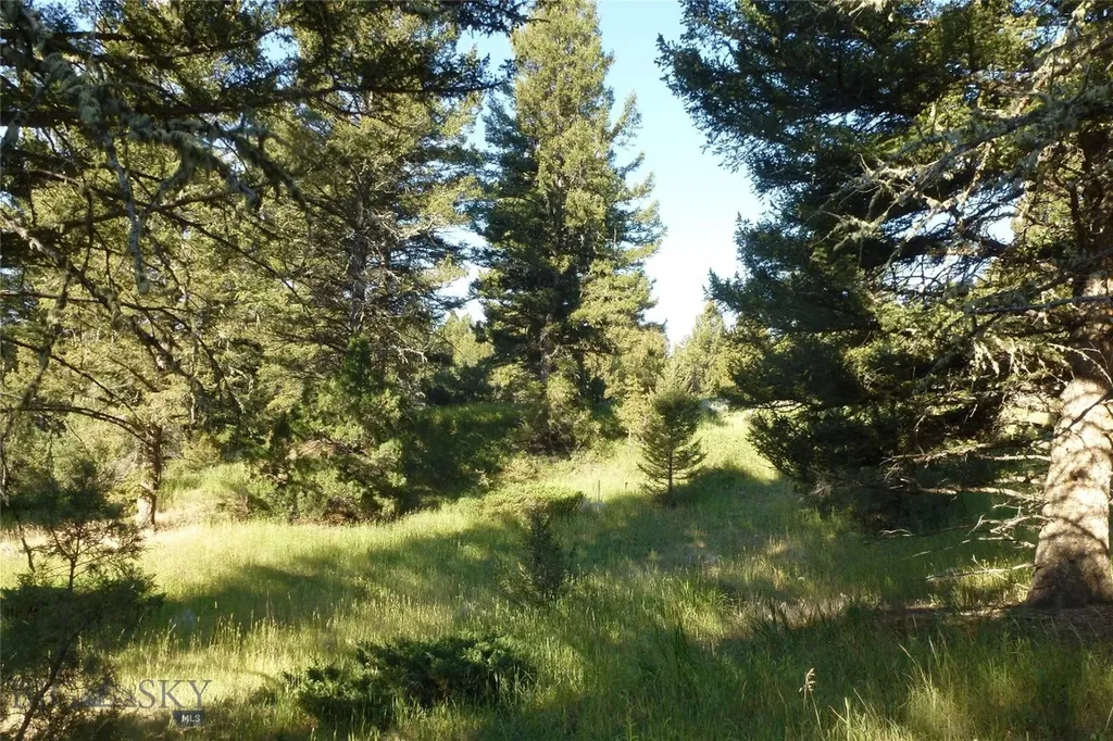 37 Talus Trail Big Sky MT 59730