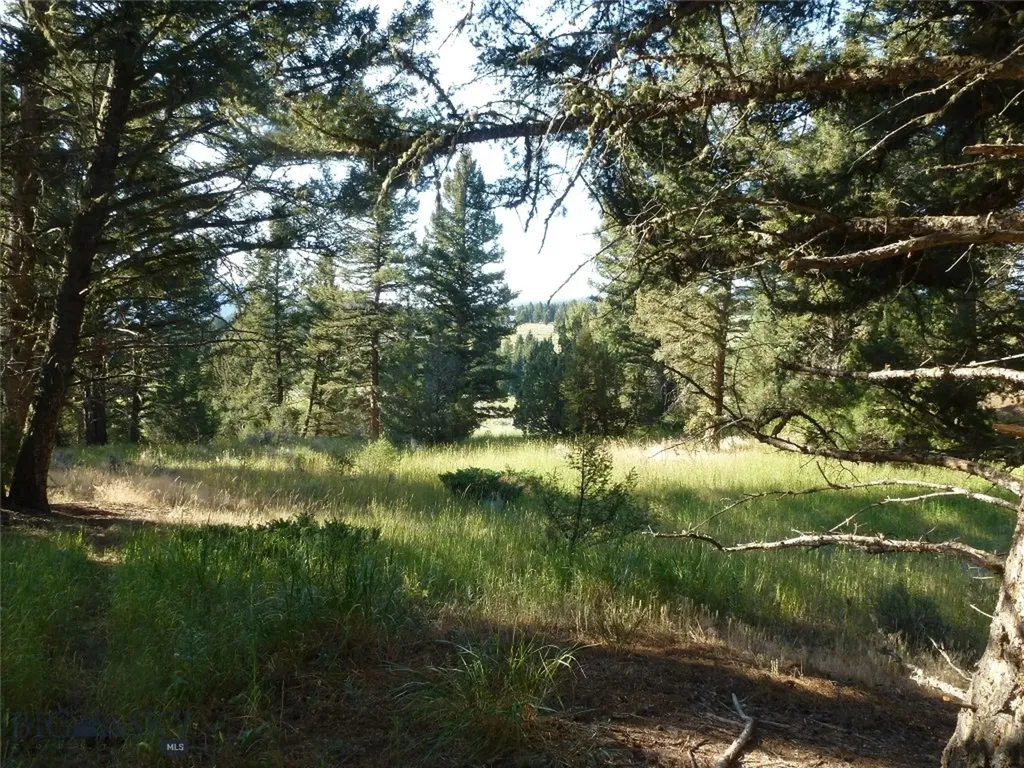 37 Talus Trail Big Sky MT 59730