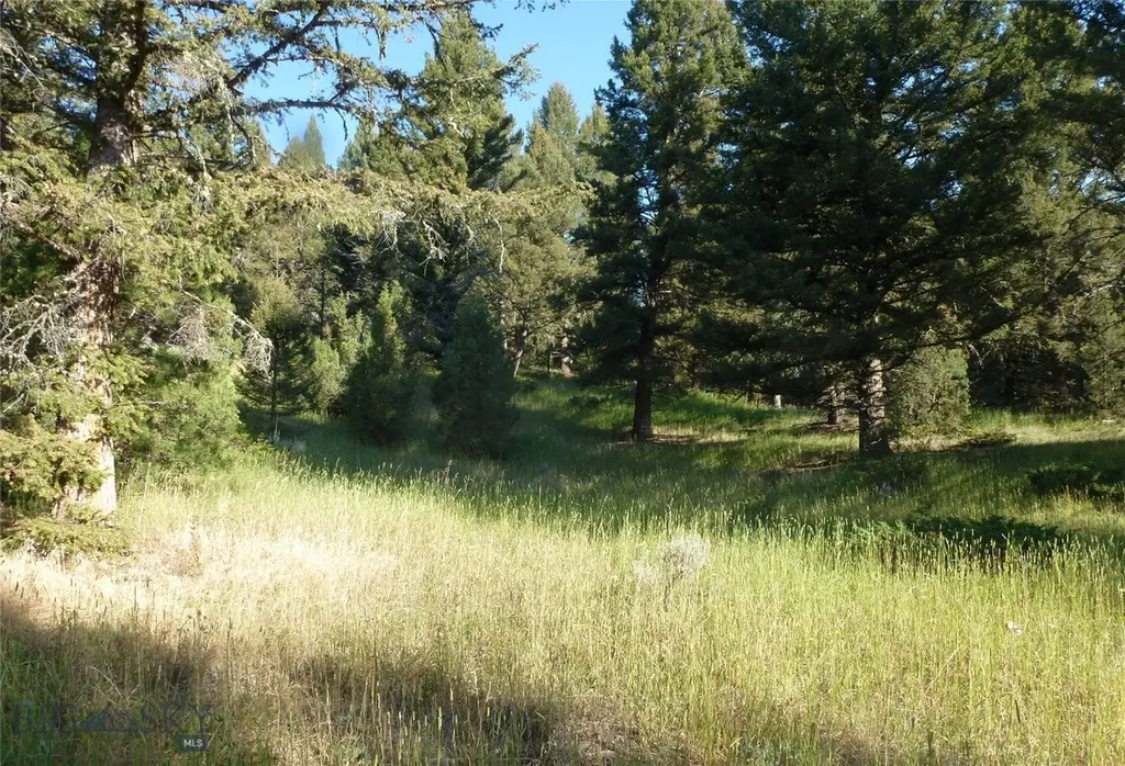 37 Talus Trail Big Sky MT 59730