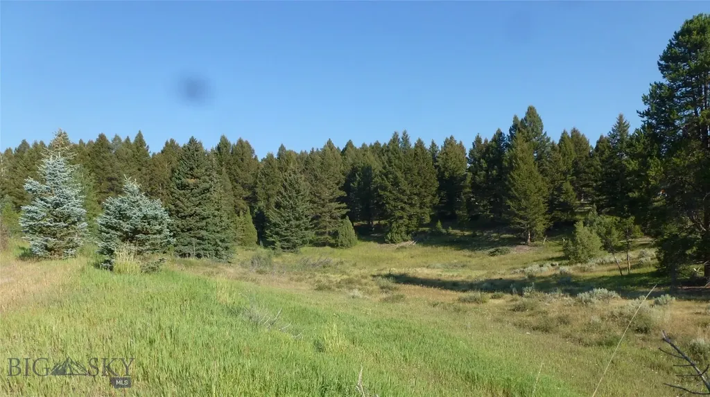 37 Talus Trail Big Sky MT 59730