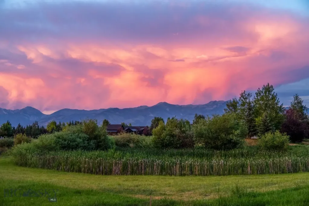 62 Brave Heart Loop Bozeman MT 59718