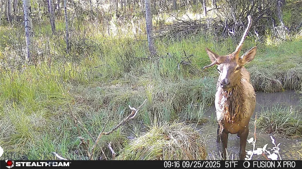 Tbd Tract A Anaconda MT 59711