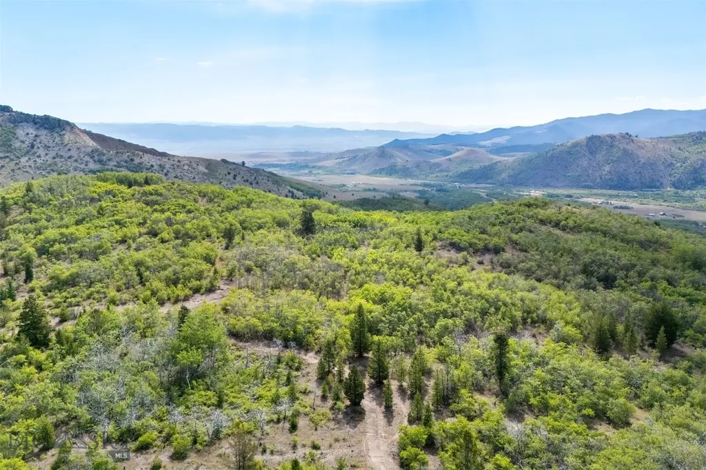 Tbd Tract A Anaconda MT 59711