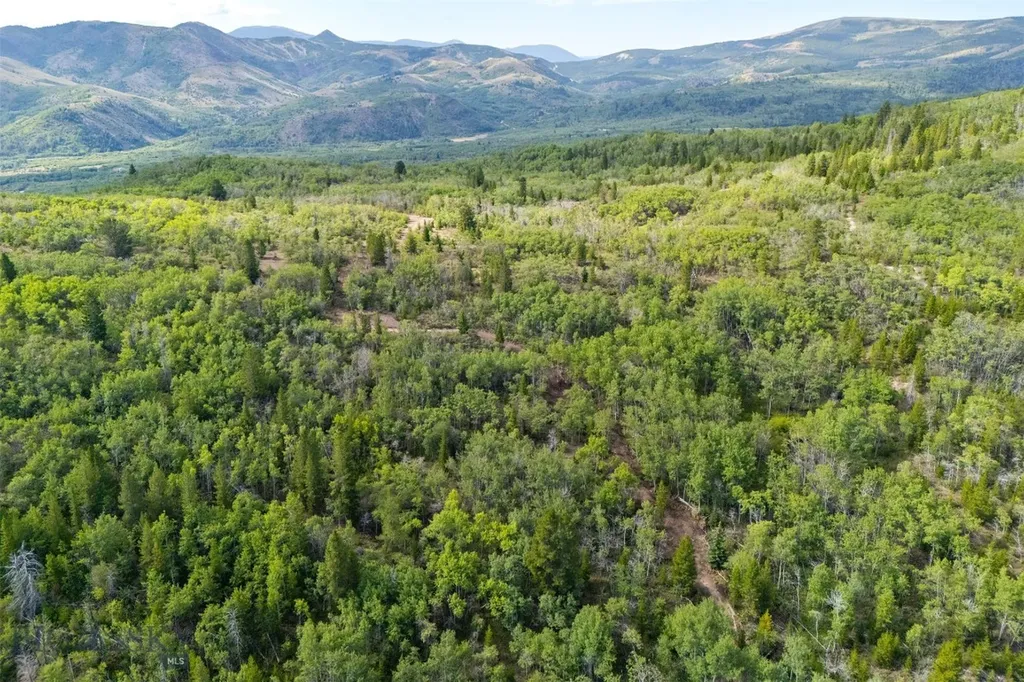 Tbd Tract A Anaconda MT 59711