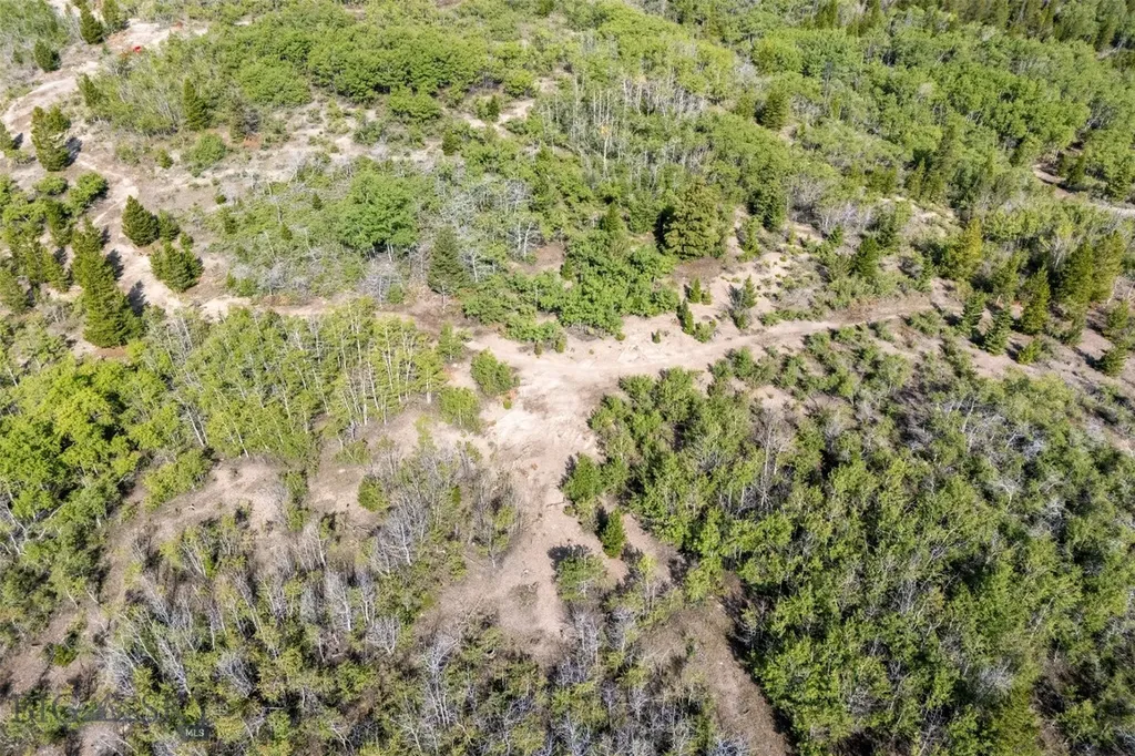 Tbd Tract A Anaconda MT 59711