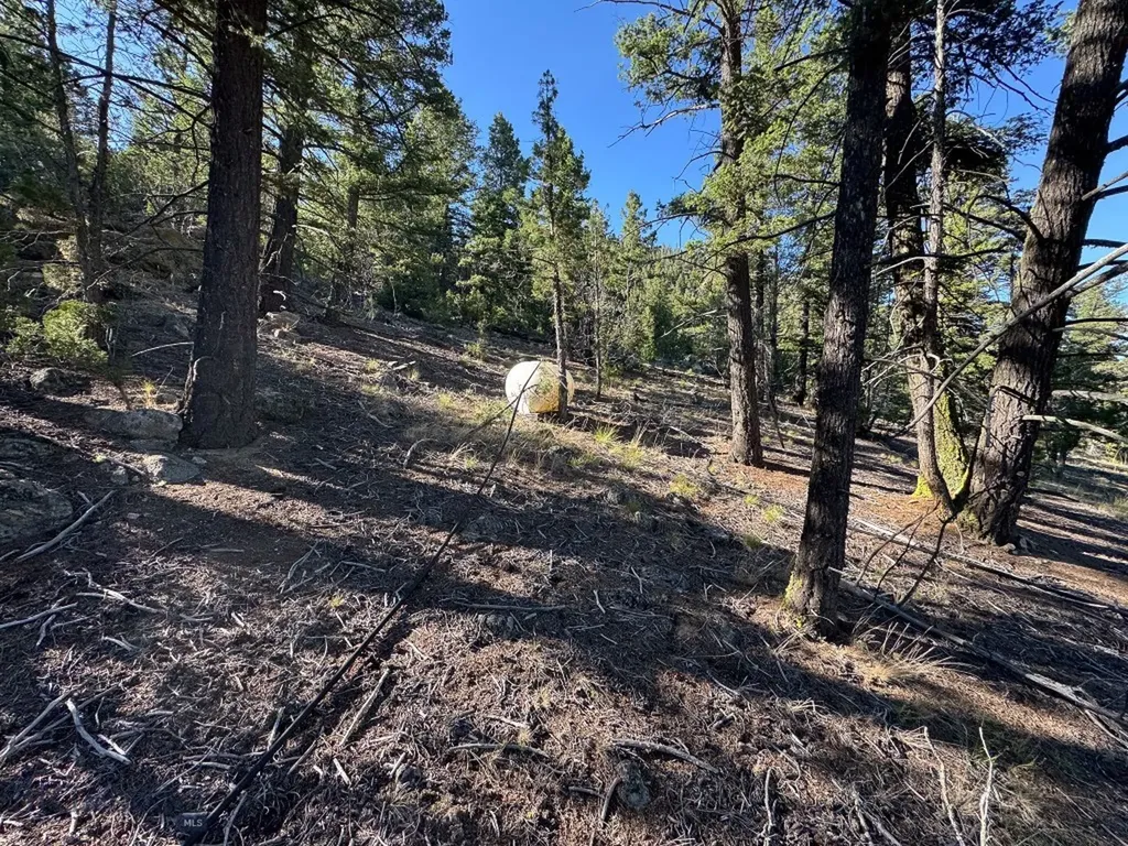336 Quintana Lane Boulder MT 59632