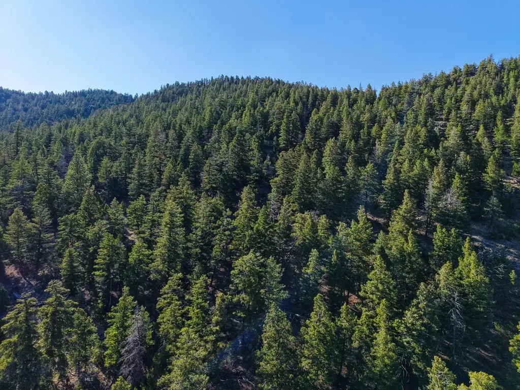 336 Quintana Lane Boulder MT 59632