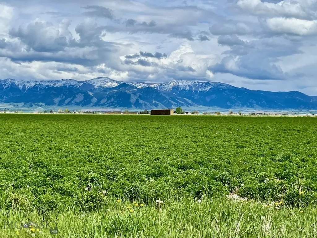 1480 Bolinger Road Belgrade MT 59714