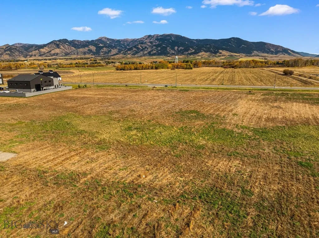 Tbd Nelson Road Bozeman MT 59718