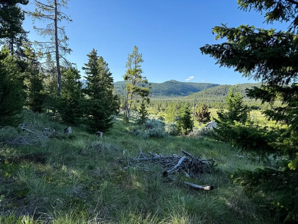 Nhn (1.78+/- Acres) Sunchild Lane Anaconda MT 59711