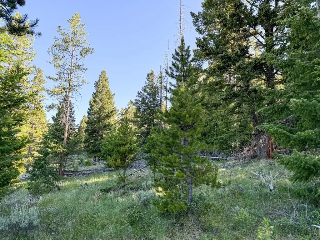 Nhn (1.78+/- Acres) Sunchild Lane Anaconda MT 59711