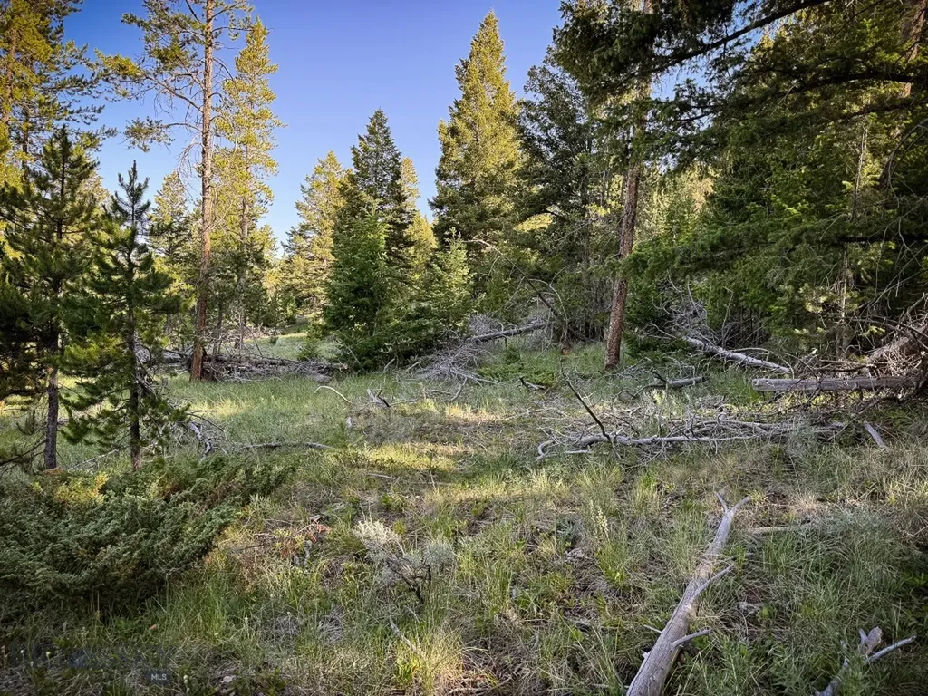 Nhn (1.78+/- Acres) Sunchild Lane Anaconda MT 59711