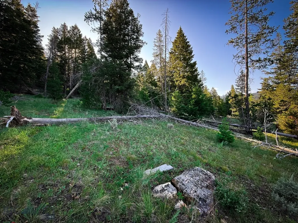Nhn (1.78+/- Acres) Sunchild Lane Anaconda MT 59711