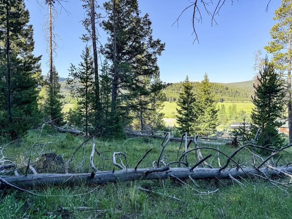 Nhn (1.78+/- Acres) Sunchild Lane Anaconda MT 59711