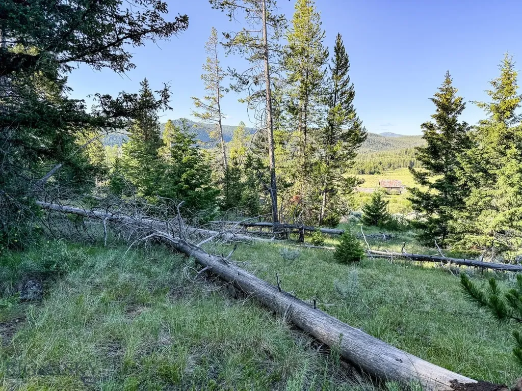 Nhn (1.78+/- Acres) Sunchild Lane Anaconda MT 59711