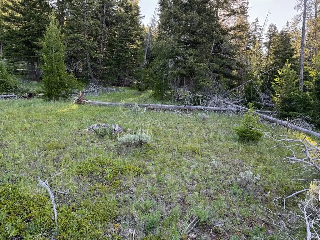 Nhn (1.78+/- Acres) Sunchild Lane Anaconda MT 59711