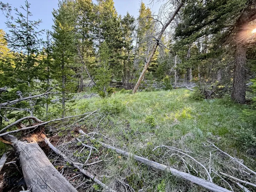 Nhn (1.78+/- Acres) Sunchild Lane Anaconda MT 59711