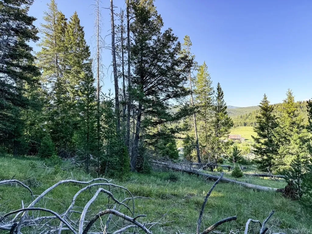 Nhn (1.78+/- Acres) Sunchild Lane Anaconda MT 59711