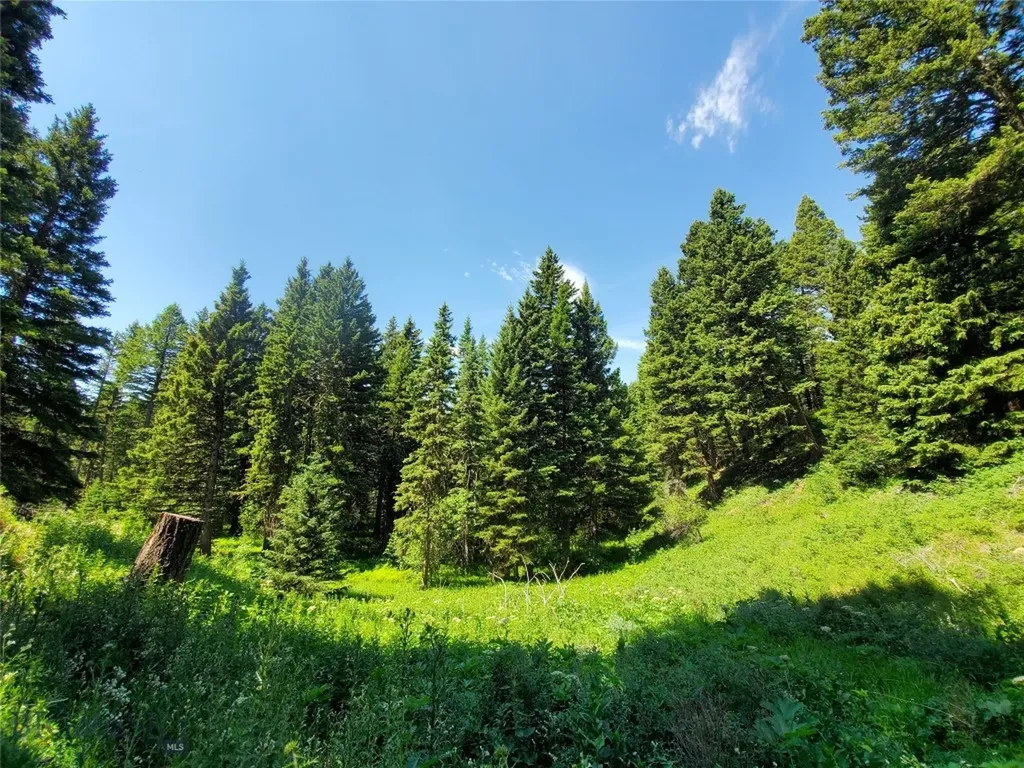 4535 Cottonwood Ranch Trail Bozeman MT 59718