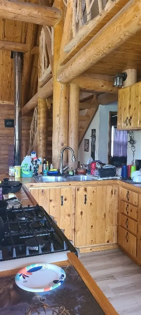 309 Bear Paw Trail Anaconda MT 59711