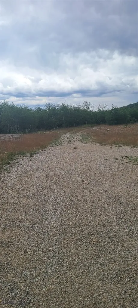 309 Bear Paw Trail Anaconda MT 59711