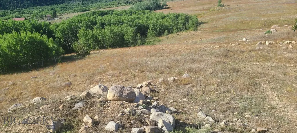 309 Bear Paw Trail Anaconda MT 59711