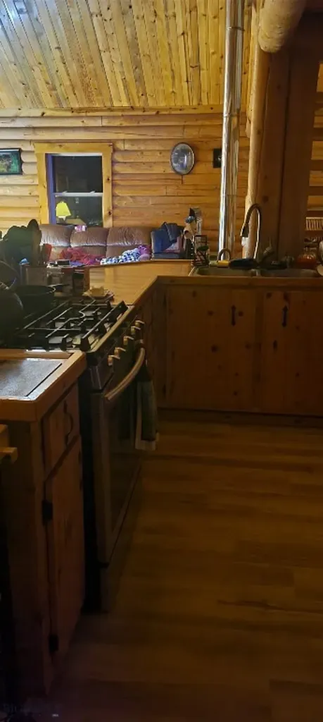 309 Bear Paw Trail Anaconda MT 59711