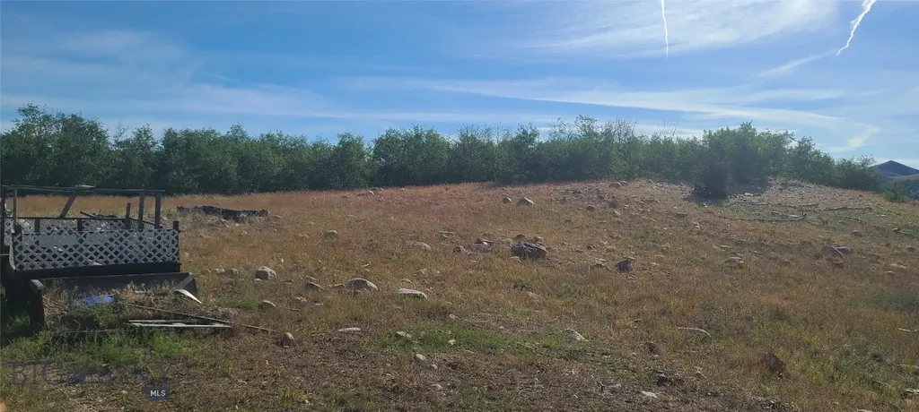 309 Bear Paw Trail Anaconda MT 59711