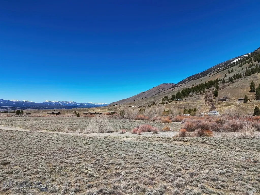 Tbd Torry Road Cameron MT 59720