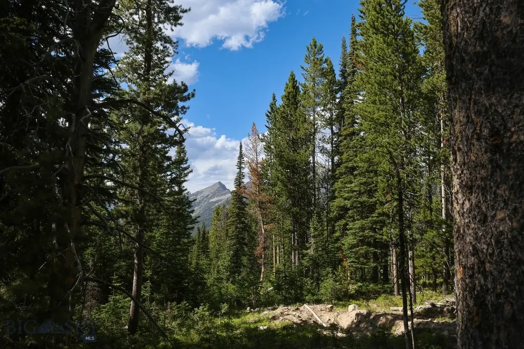 Tbd Beehive Basin Road Big Sky MT 59716