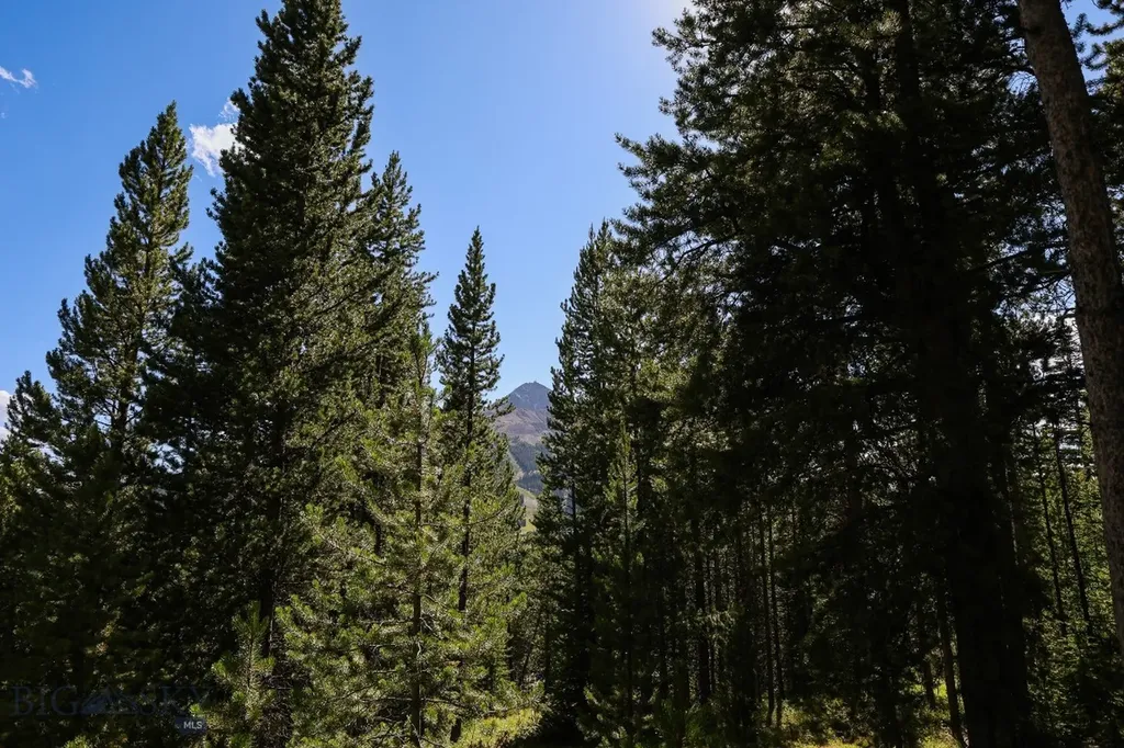 Tbd Beehive Basin Road Big Sky MT 59716