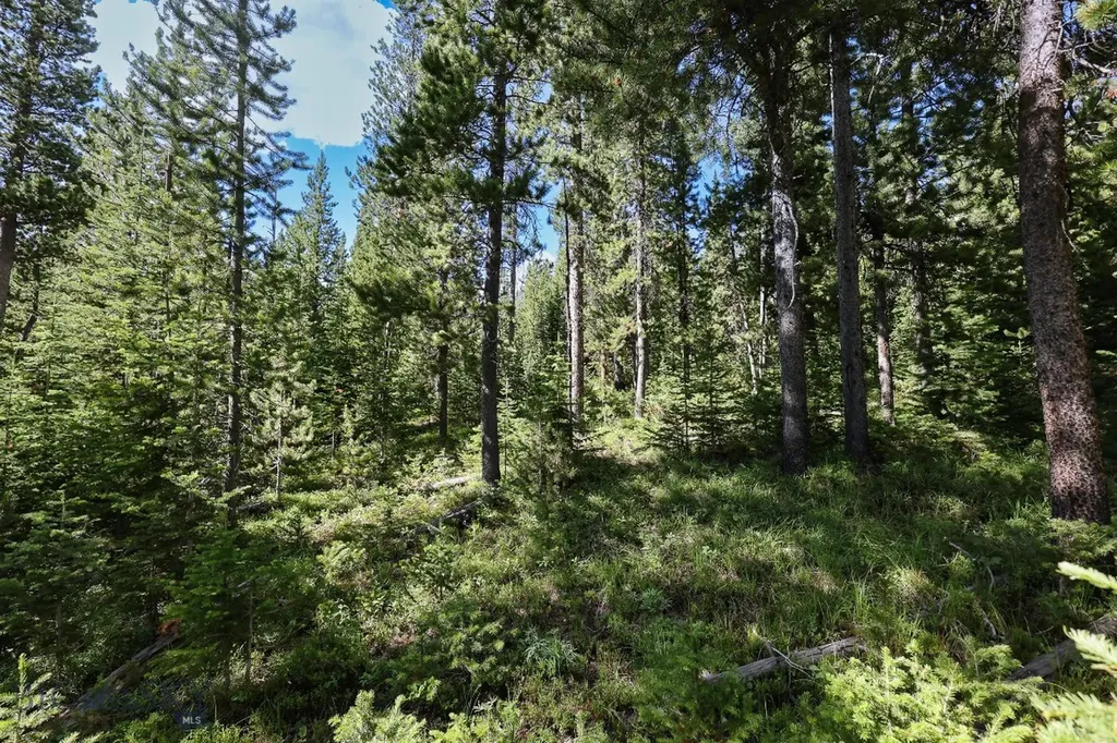 Tbd Beehive Basin Road Big Sky MT 59716