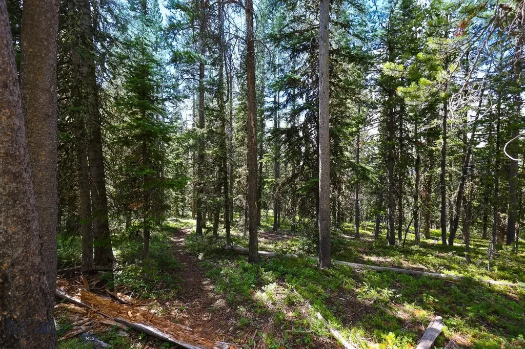 Tbd Beehive Basin Road Big Sky MT 59716