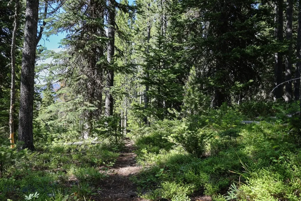 Tbd Beehive Basin Road Big Sky MT 59716