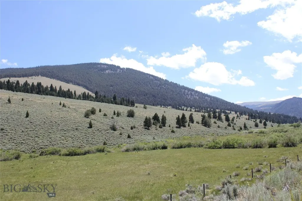 2647 Middle Fork Little Sheep Creek Lima MT 59739