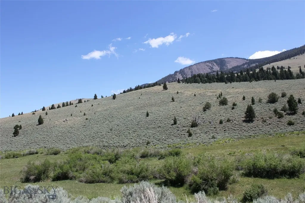2647 Middle Fork Little Sheep Creek Lima MT 59739
