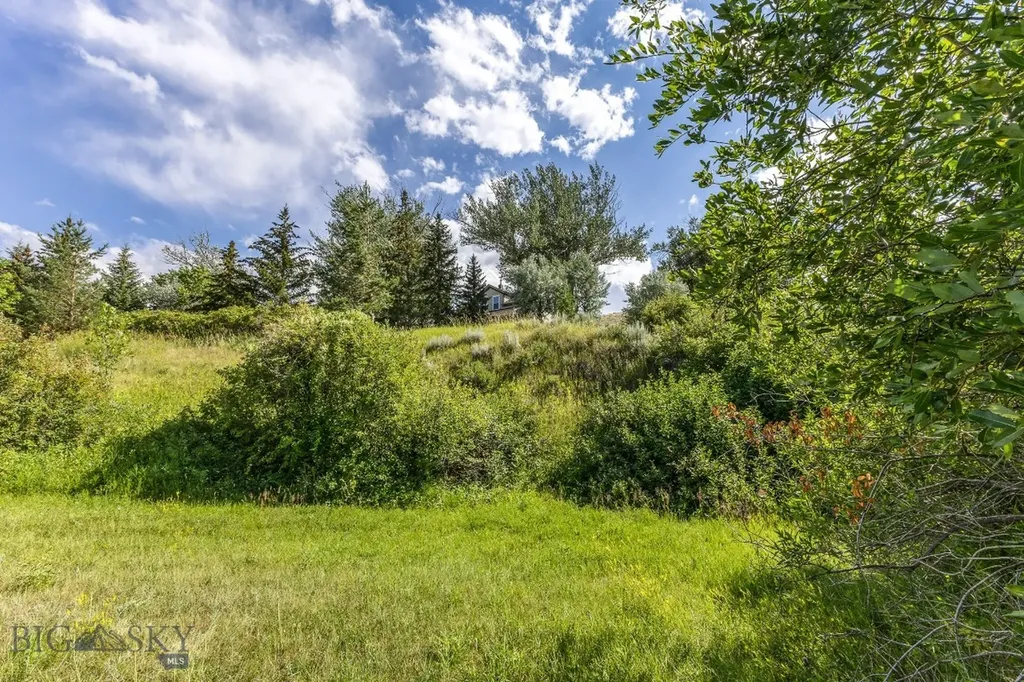 6 Washoe Circle Bearcreek MT 59007