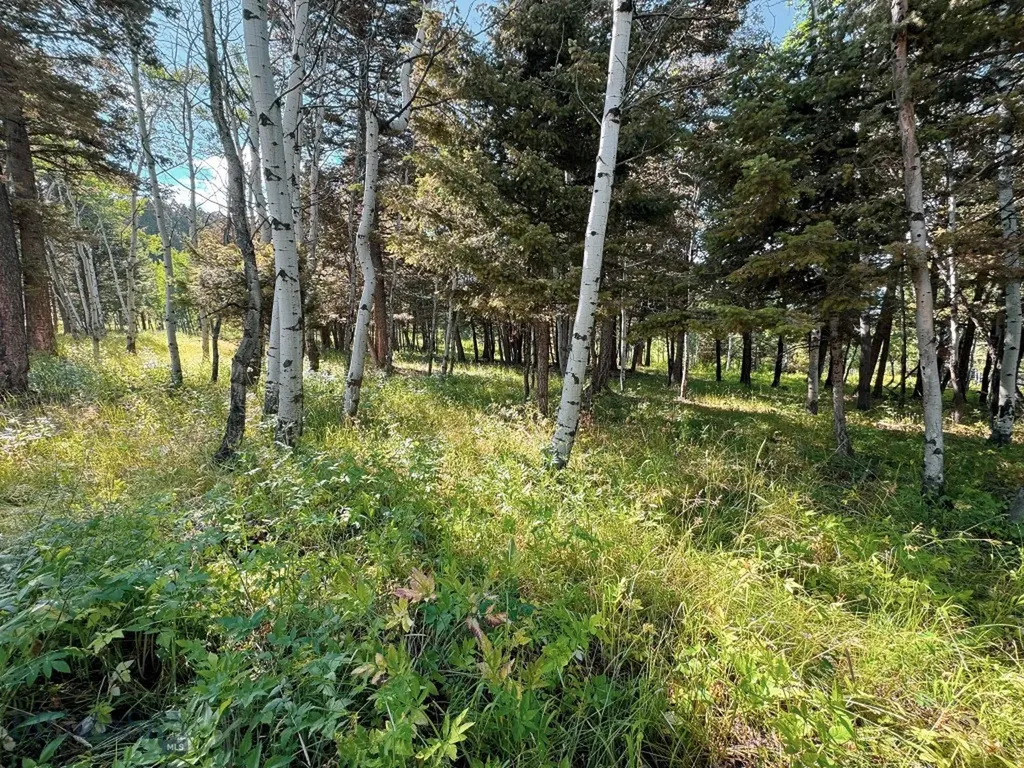4 Pine Hill Drive White Sulphur Springs MT 59645