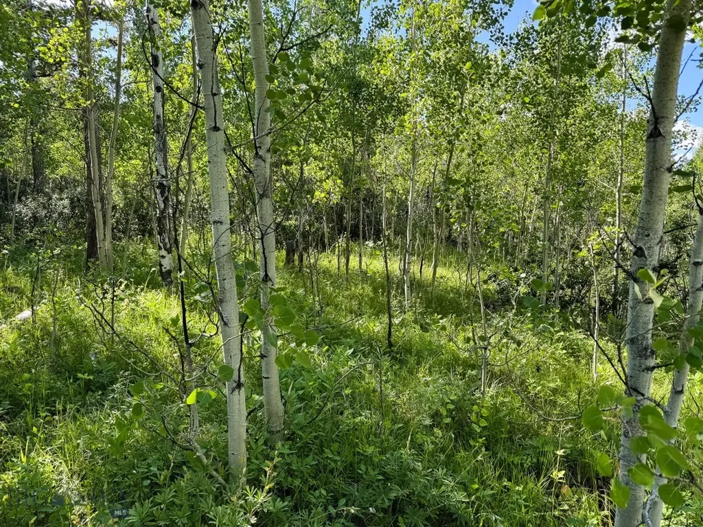 4 Pine Hill Drive White Sulphur Springs MT 59645