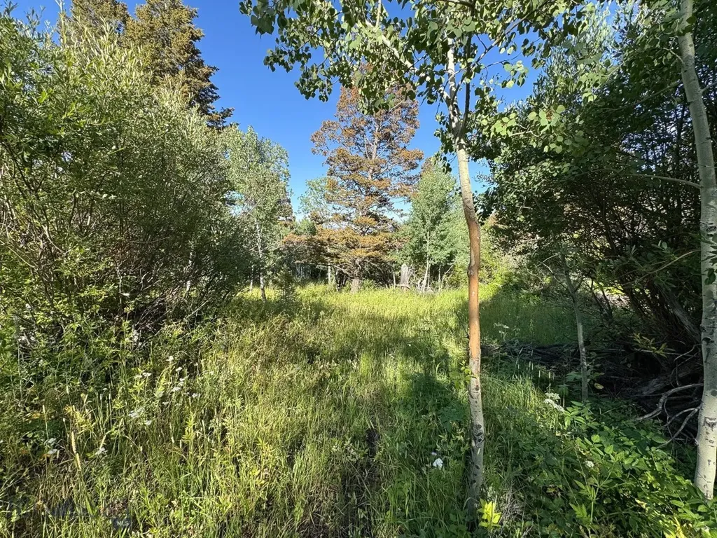 4 Pine Hill Drive White Sulphur Springs MT 59645